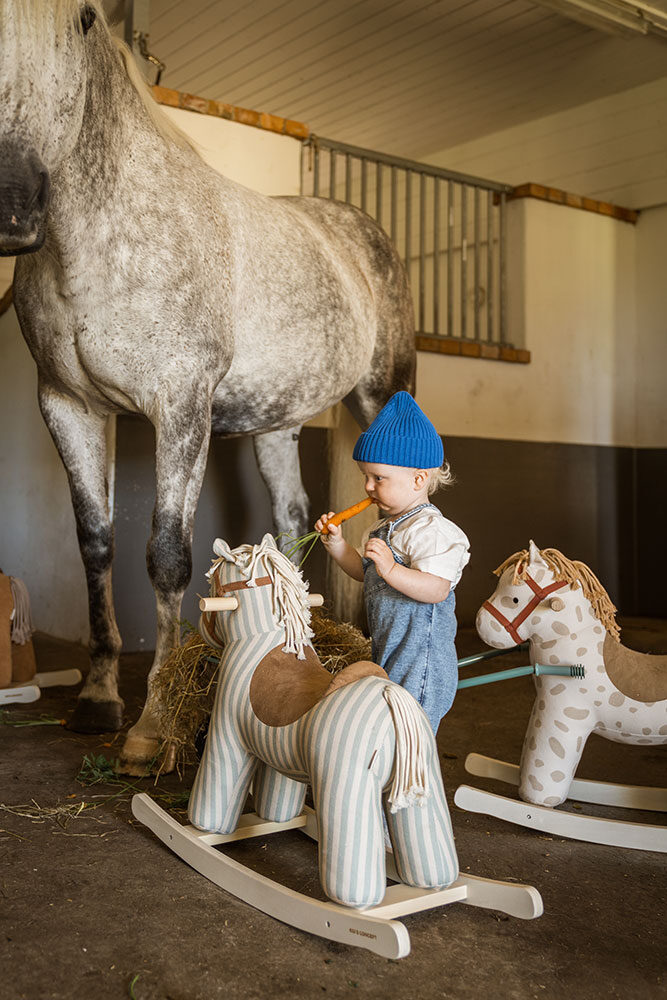 Kids Concept - ცხენი - Image 12